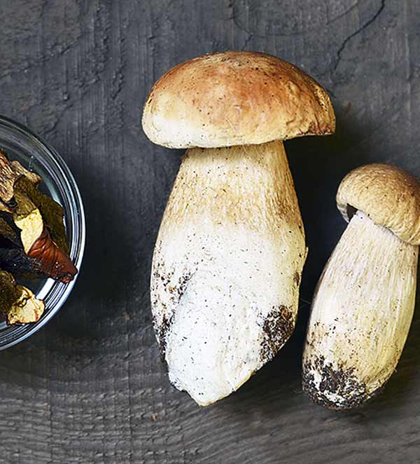 product-6-gallery-1 a